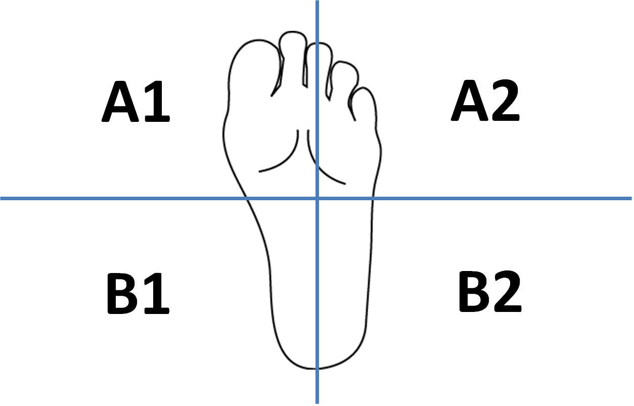 【まとめ】4スタンス理論とは! A1・A2・B1・B2の特徴とチェック方法など