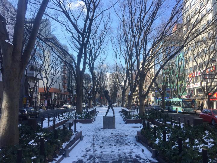 仙台ってそこまで雪降りません! 降雪量・積雪量少なめです